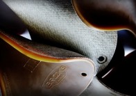 Brooks Cambium