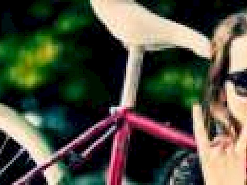 Bicyclegirls